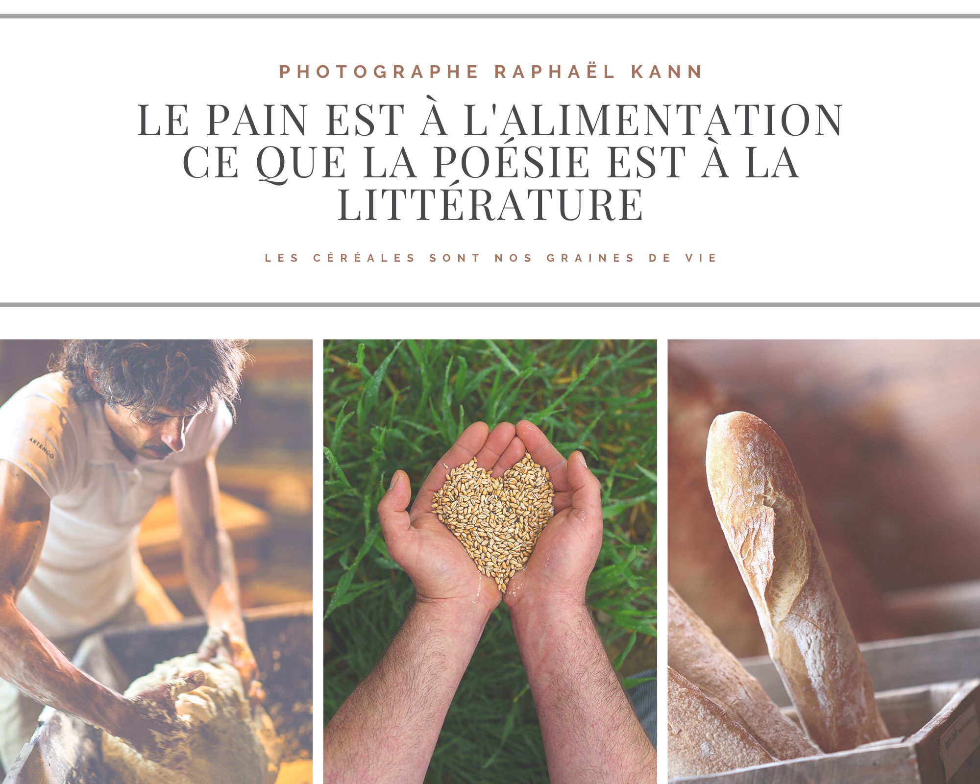 livre ame pain boulanger passion photo terroir raphael kann 1