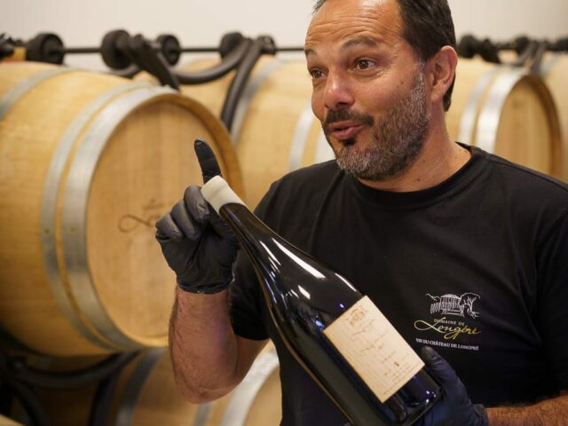 Un œnologue choisit un ancien cépage