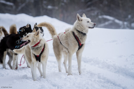 Amarok Sport Aventure