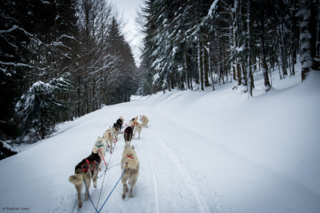 Amarok Sport Aventure